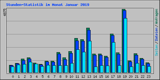 Stunden-Statistik im Monat Januar 2019