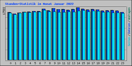 Stunden-Statistik im Monat Januar 2022