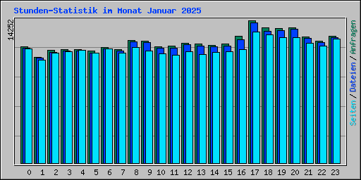 Stunden-Statistik im Monat Januar 2025