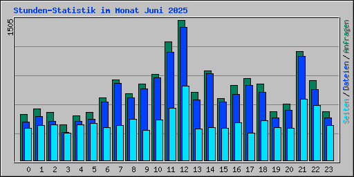 Stunden-Statistik im Monat Juni 2025