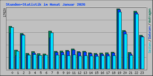 Stunden-Statistik im Monat Januar 2026